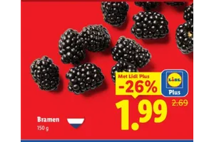 Lidl Plus Bramen