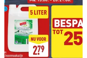 Una Schoonmaakazijn