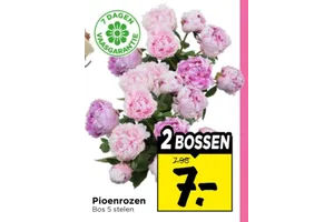 Pioenrozen