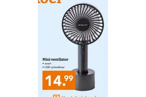 Mini ventilator
