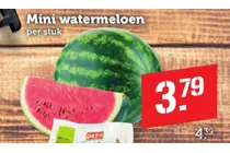 mini watermeloen