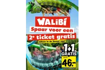 walibi ticket