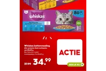 kattenvoeding gelei multipacks