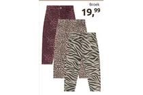 broek