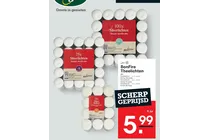 maxi lichten