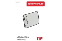 car mirror