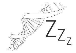 Illustration: Eine Doppelhelix. Daneben das Symbol für Schlafen.