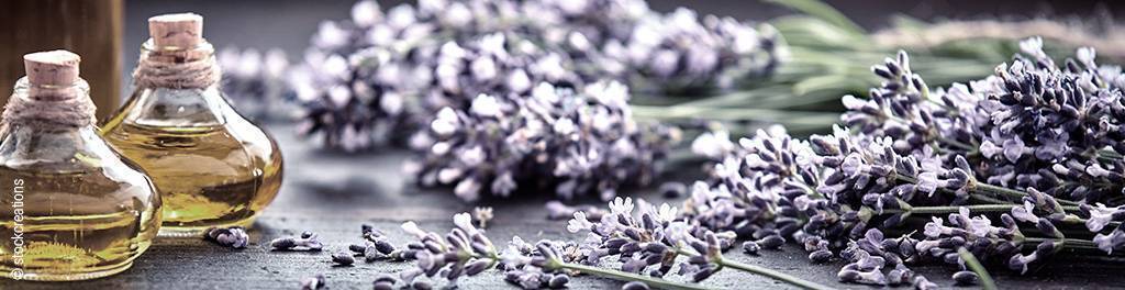 Foto: Einige Sträuße Lavendel liegen auf dunklem Untergrund neben zwei bauchigen Fläschen mit Lavendelöl.