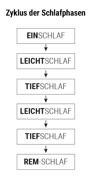 Schematische Darstellung: Der Zyklus der Schlafphasen mit Einschlafphase, Leichtschlafphase, Tiefschlaf und REM-Schlafphase