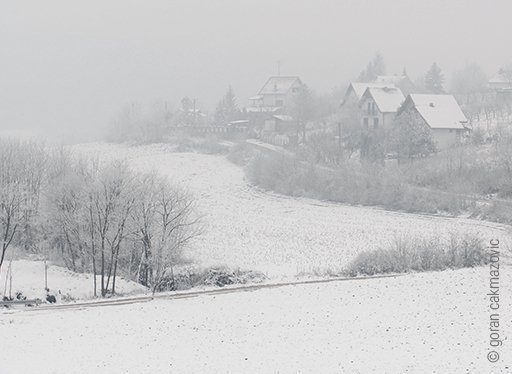 Foto: Eine neblig triste Winterlandschaft. Schneebedeckte Felder, Büsche und Bäume am Rande eines Dorfes.