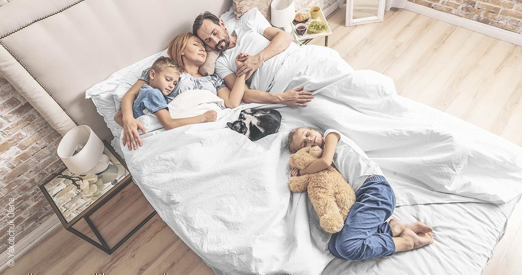 Foto: Im Bett schläft eine vierköpfige Familie sowie die Kuscheltiere der Kinder und die Katze.