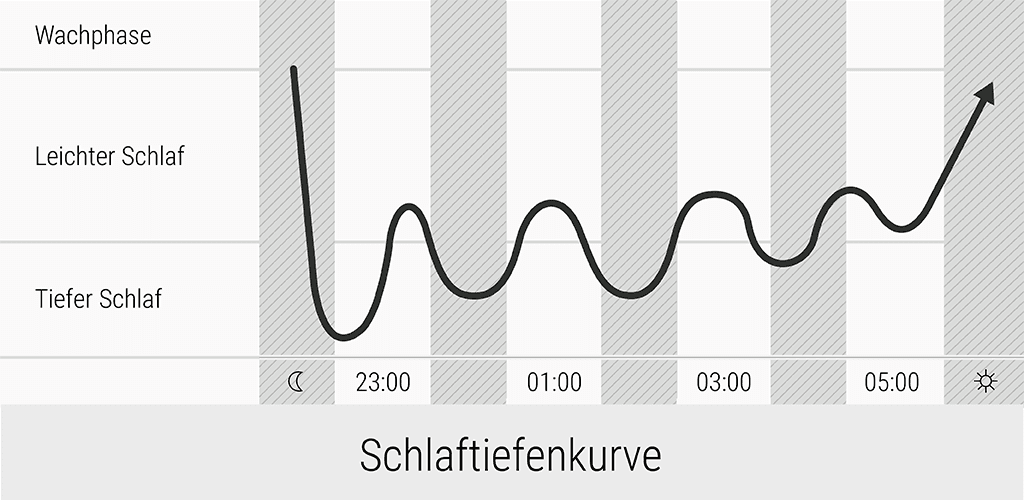 Illustration des menschlichen Schlafzyklus. Die Schlaftiefenkurve durchläuft von der Wachphase ausgehend mehrere Leichtschlaf und Tiefschlafphasen.