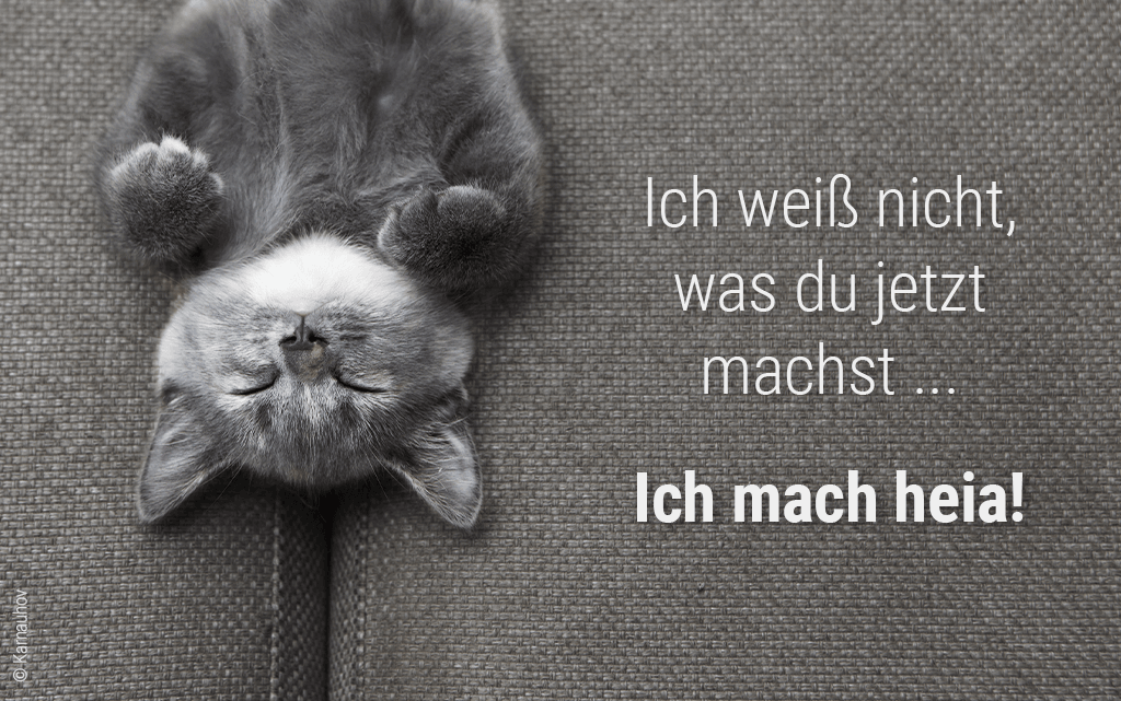 Gute-Nacht-Bilder mit Tiermotiv: Eine Katze liegt in Rückenlage auf einem grauen Stoffbezug. Daneben Text: „Ich weiß nicht, was du jetzt machst ... Ich mach heia!“