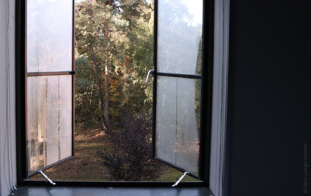 Foto: Blick aus einem weit geöffneten Fenster in einen Wald.