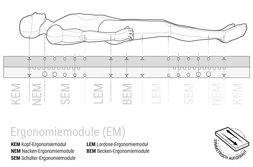 Lordosekissen - Lordose: Die wichtige Krümmung in der Wirbelsäule