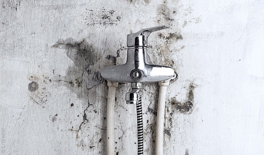 Foto: Ein Wasserhahn mit Duschschlauch in einer Wand mit Wasserflecken, Schimmelablagerungen und Rissen im Putz.