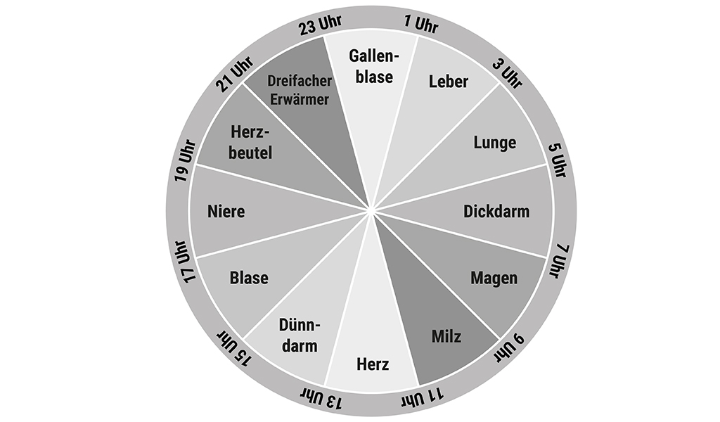 Foto: Die Organuhr der traditionellen chinesischen Medizin (TCM) dargestellt als Kreisdiagramm; darauf steht: 23–01 Uhr „Gallenblase“, 01–03 Uhr „Leber“, 03–05 Uhr „Lunge“, 05–07 Uhr „Dickdarm“, 07–09 Uhr „Magen“, 09–11 Uhr „Milz“, 11–13 Uhr „Herz“, 13–15 Uhr „Dünndarm“, 15–17 Uhr „Blase“, 17–19 Uhr „Niere“, 19–21 Uhr „Herzbeutel“, 21–23 Uhr „Dreifacher Erwärmer“.