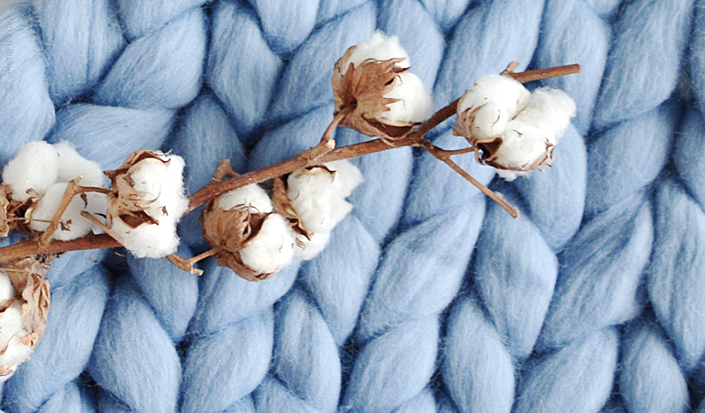 Foto: Ein Zweig mit Baumwollblüten liegt auf einer Strickdecke.