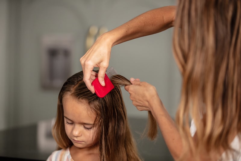 mother combing out nits from child's hair