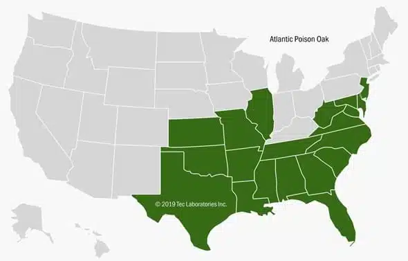 Poison Oak Map Atlantic Side
