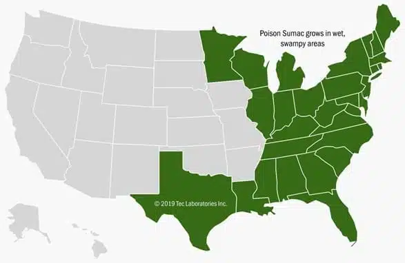 Map of Poison Sumac growth area