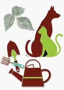 Examples of sources of poison ivy rash: dog, tools, clothing