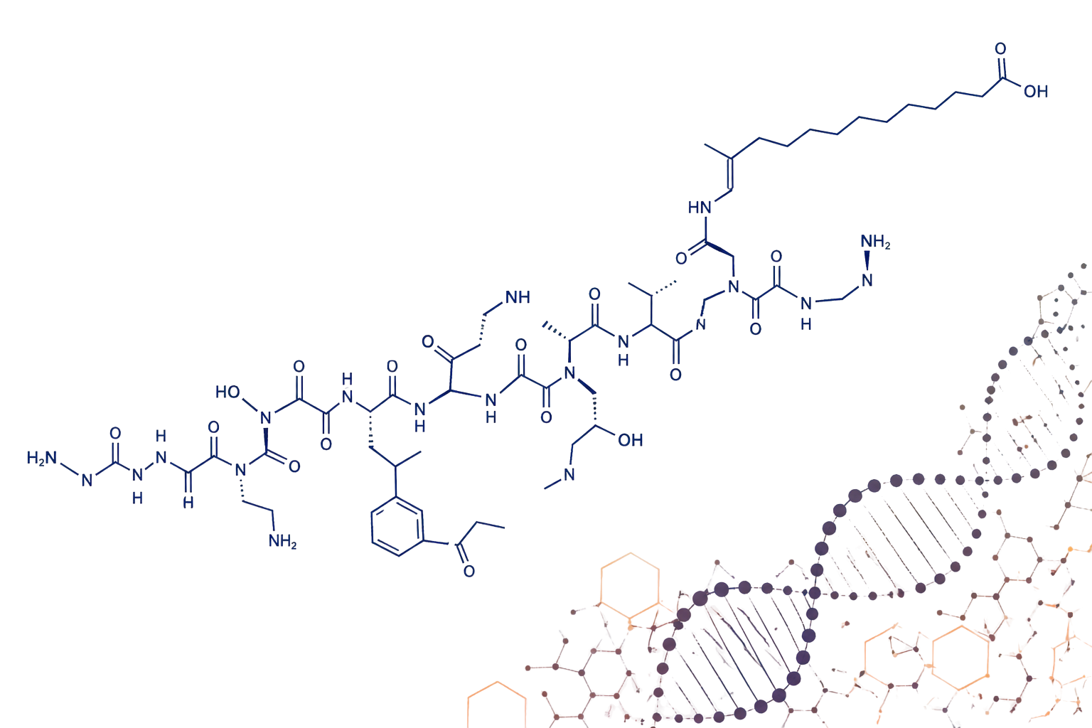 Semaglutide Weight Loss Therapy