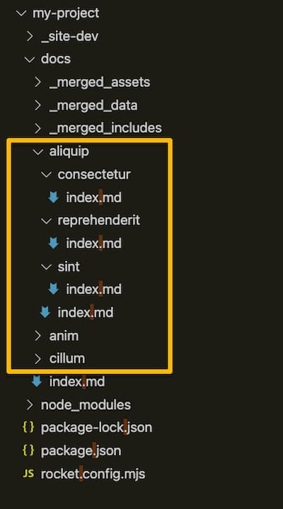 my project initial vscode