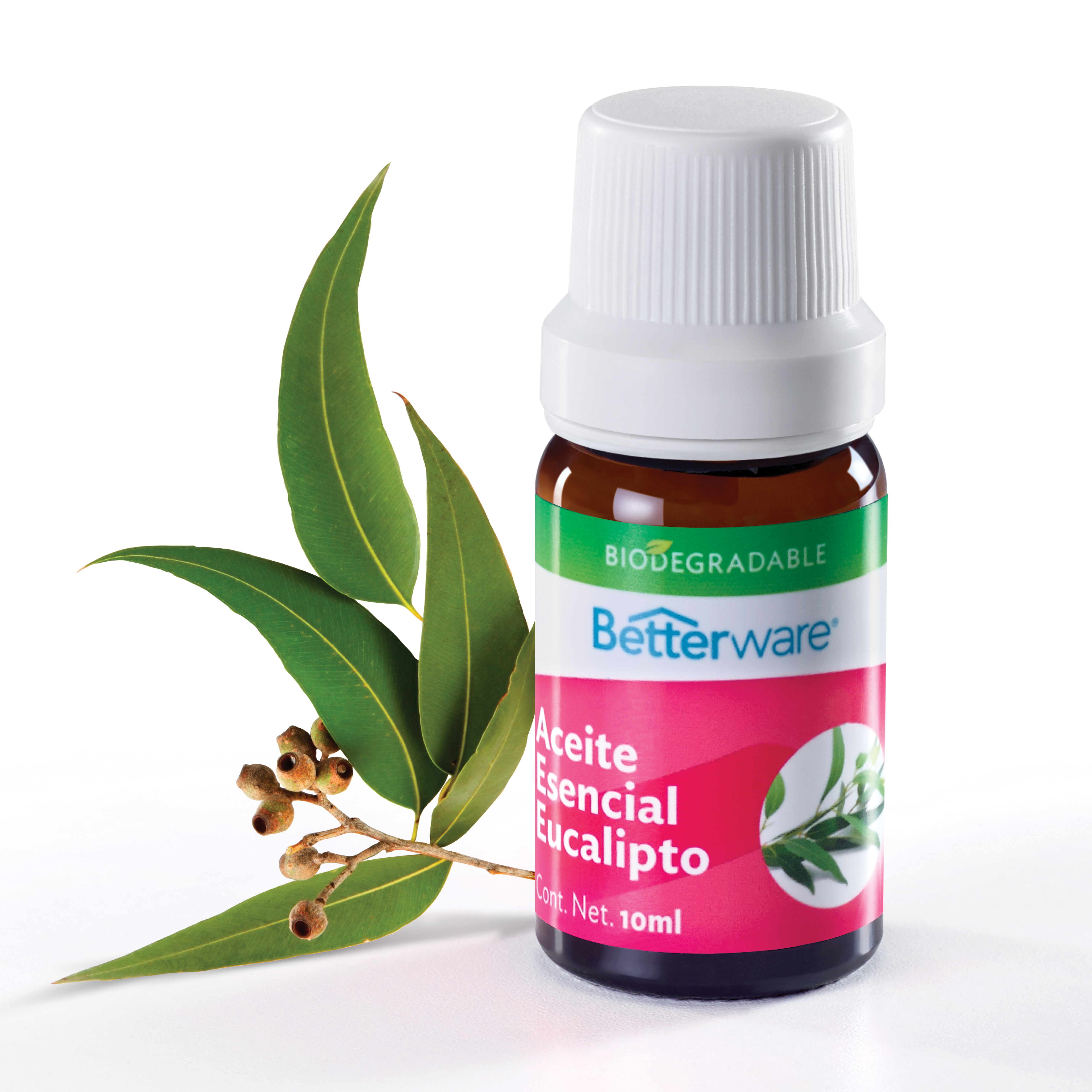 Aceite esencial Eucalipto, Productos