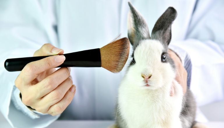 Arte ilustrativa mostra um coelho usa para o teste de cosméticos, algo que é contra os princípios Cruelty Free.