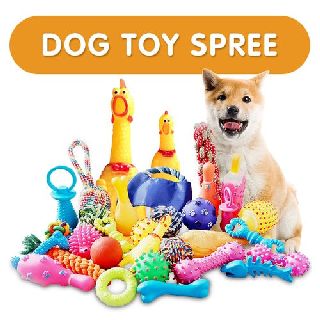 Dog & Pet Toys & Accessories, 268 Units, New Condition, Est. Original Retail $5,092, Chino, CA