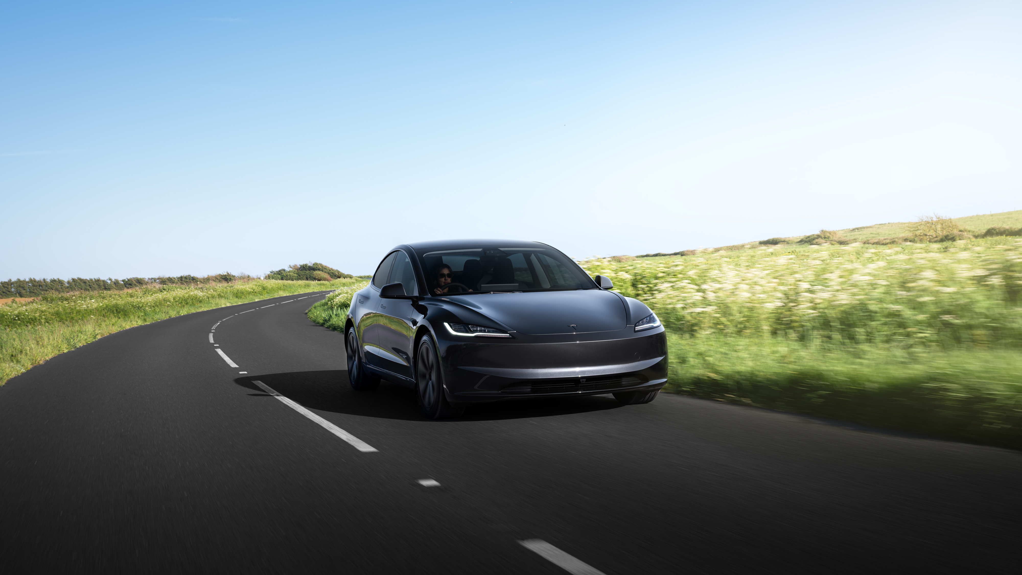 Image of 12 Pallets of Ecoat for Model S
