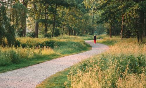 Leave A Trail of Bread Crumbs to The Rabbit Hole