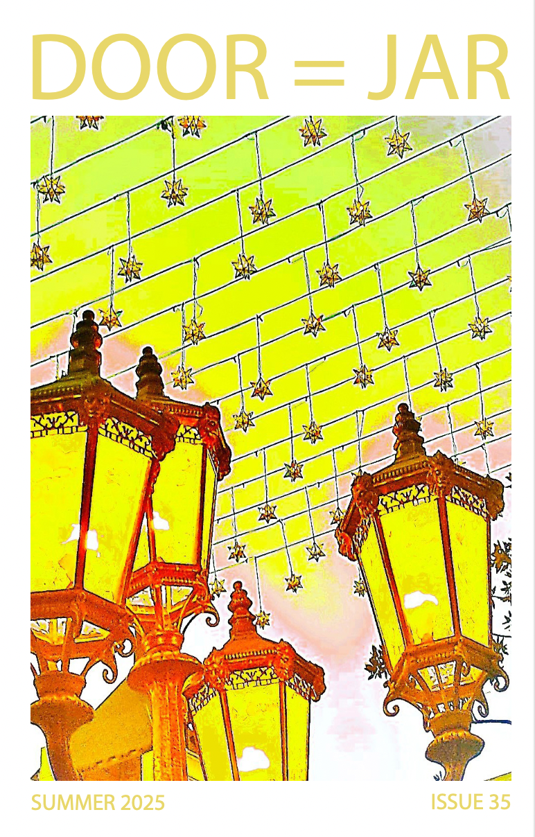 DIAJ Issue 35 cover