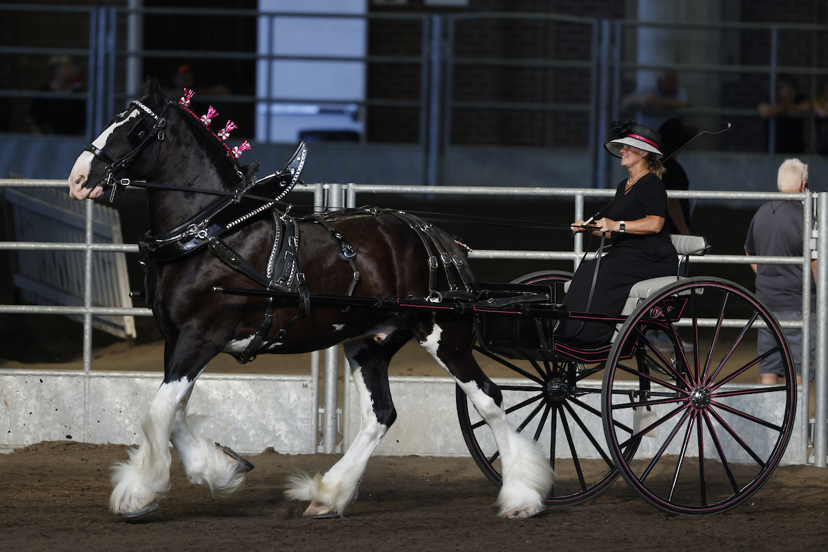 Iowa State Fair Enter Contests and Competitions