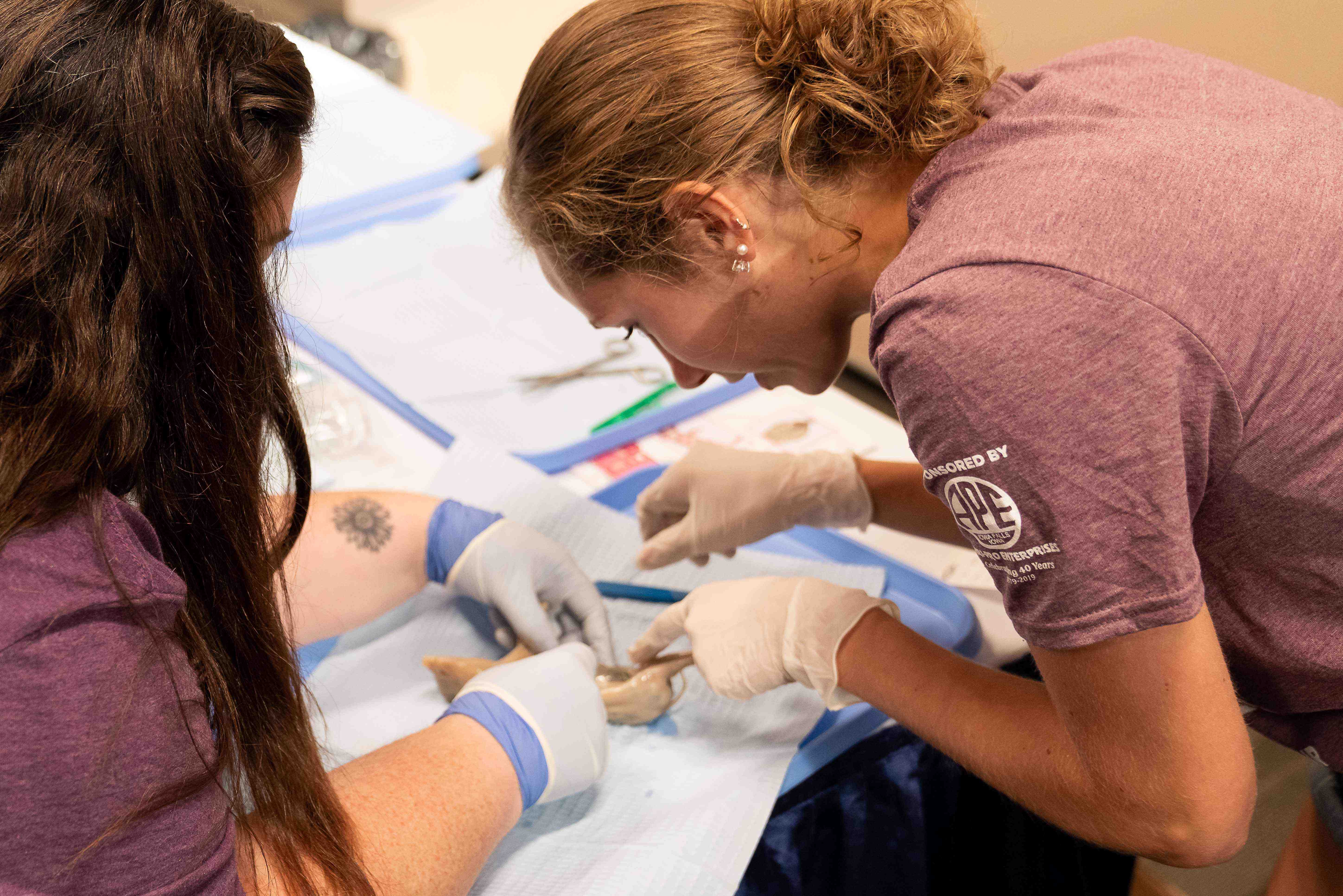 Volunteer at Vet Camp!