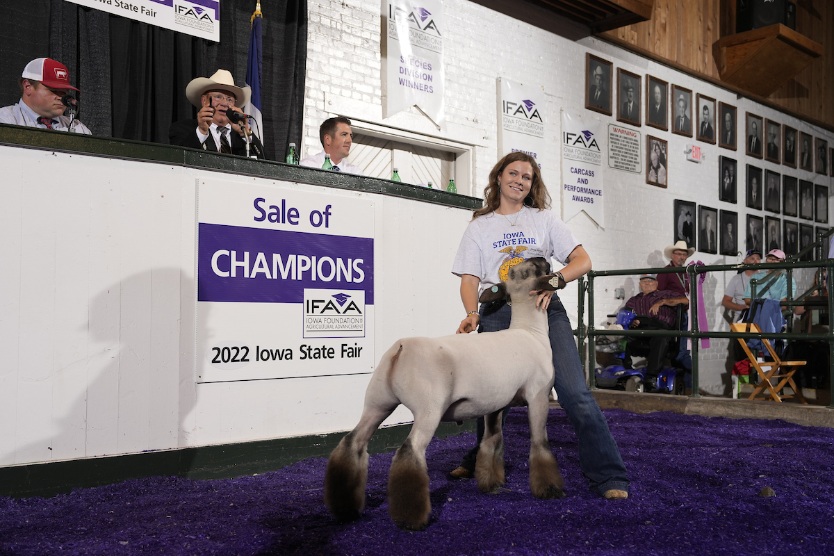 Reserve Grand Champion FFA Market Lamb
