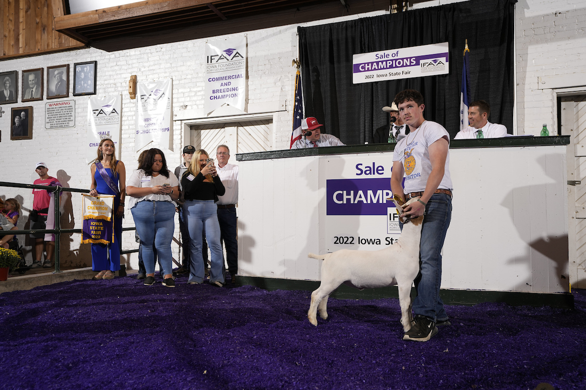 Grand Champion FFA Meat Goat