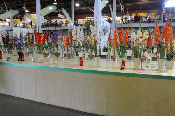 Flower entries at the John Deere Agriculture Building.