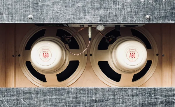 Pair of Fane A60 speakers mounted in an open-back 2x12 cabinet
