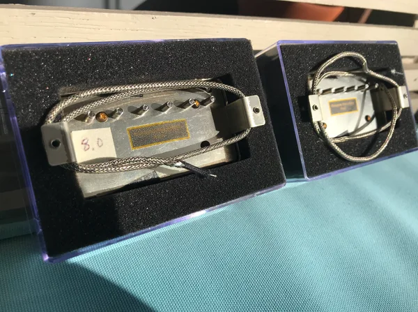 Flynn Low Wind A2 Bucker Set — two humbuckers in foam-lined packaging