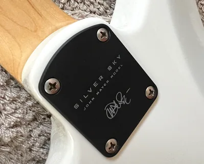 Silver Sky neck plate detail