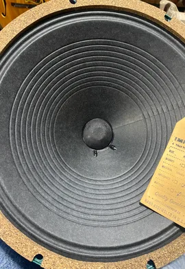 The Jupiter 12LC speaker cone