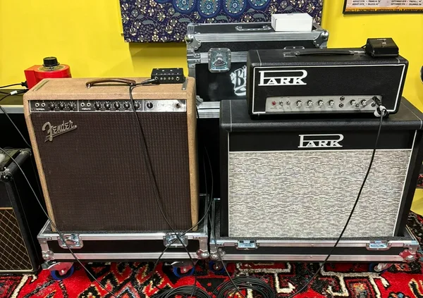 1960 Fender Concert and Park P1800
