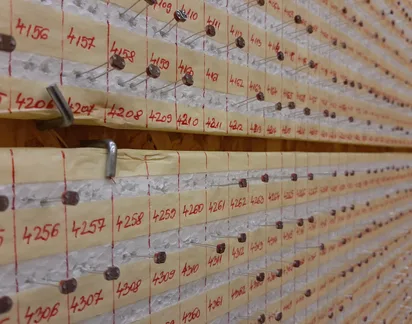 Photocell selection board with numbered samples