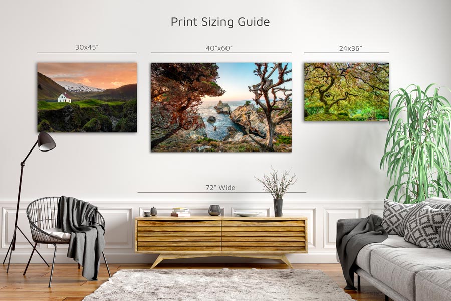 Example print sizes on a wall above a centerpiece.