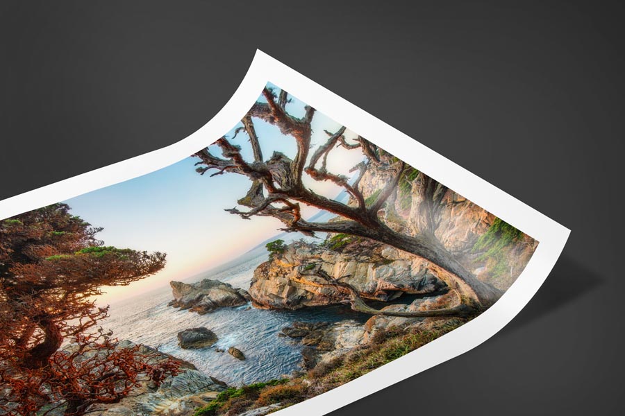 Fujiflex Crystal Archive paper print example of Point Lobos in Carmel California.