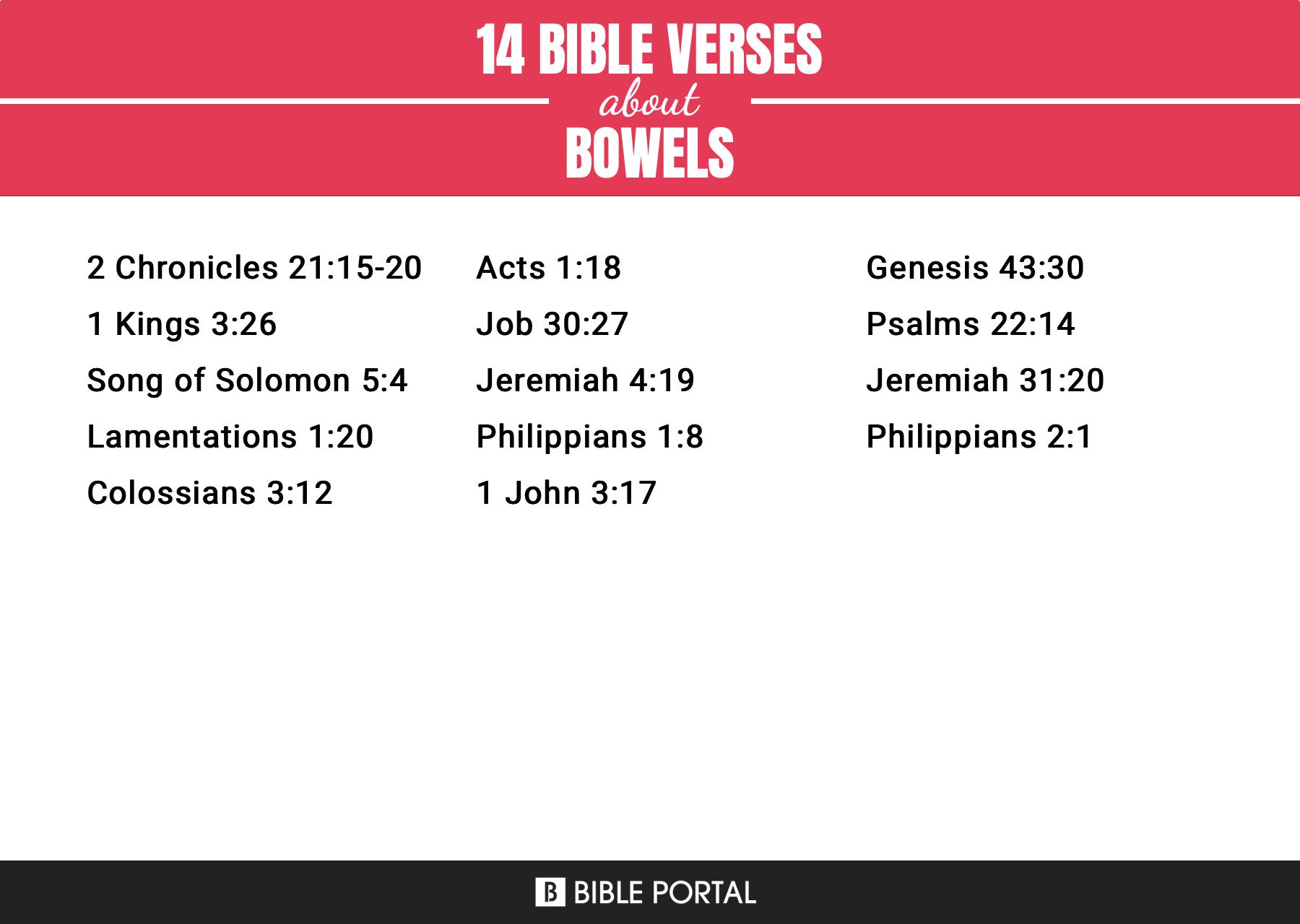 14 Bible Verses about Bowels