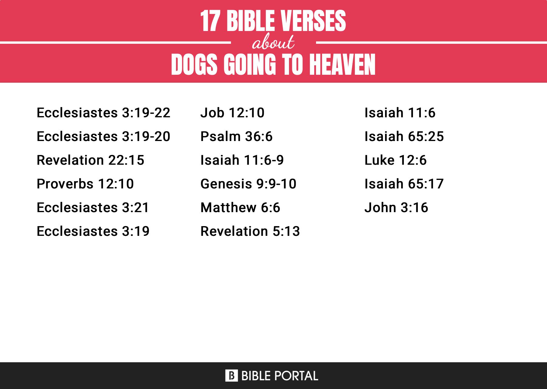 17 Bible Verses about Dogs Going To Heaven?
