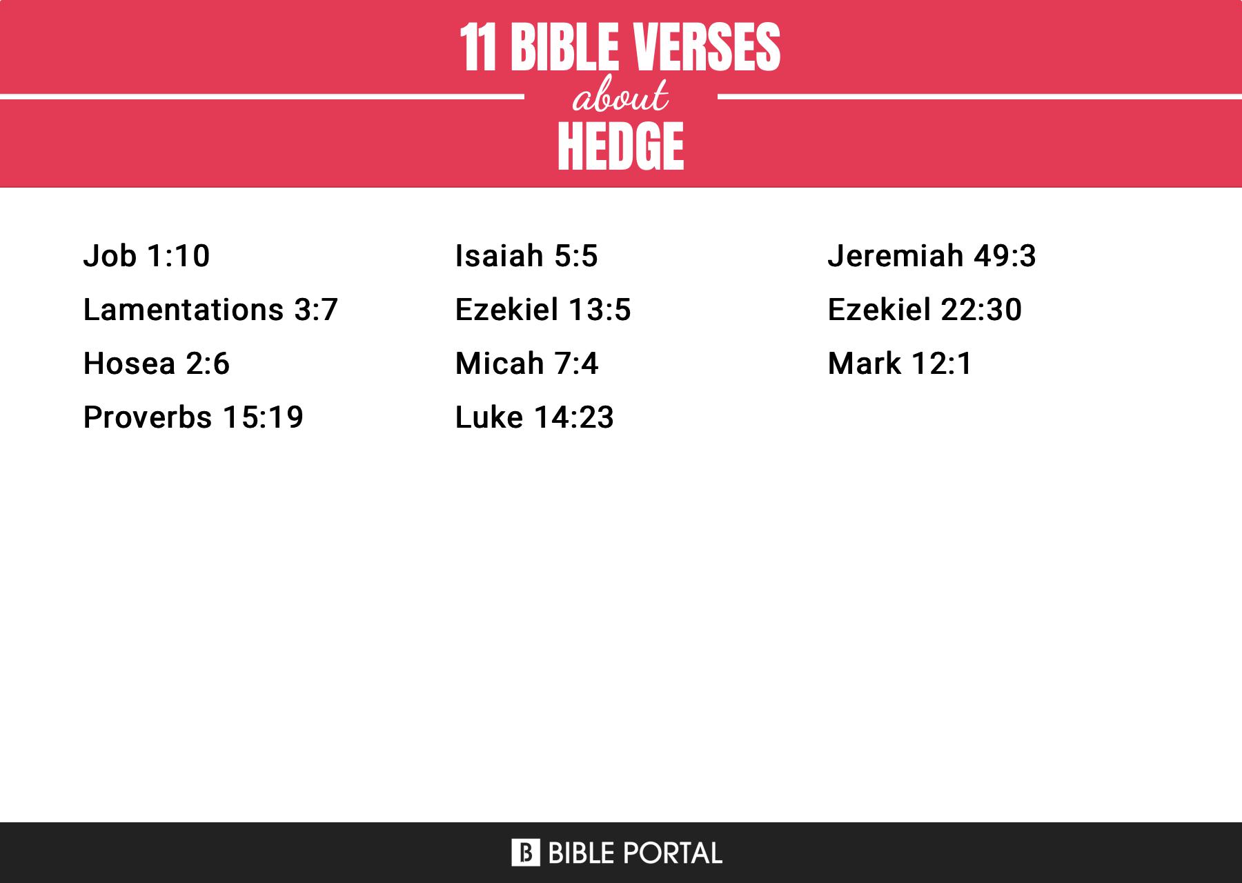 11 Bible Verses about Hedge